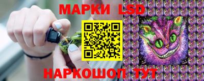 ALPHA PVP Заволжье
