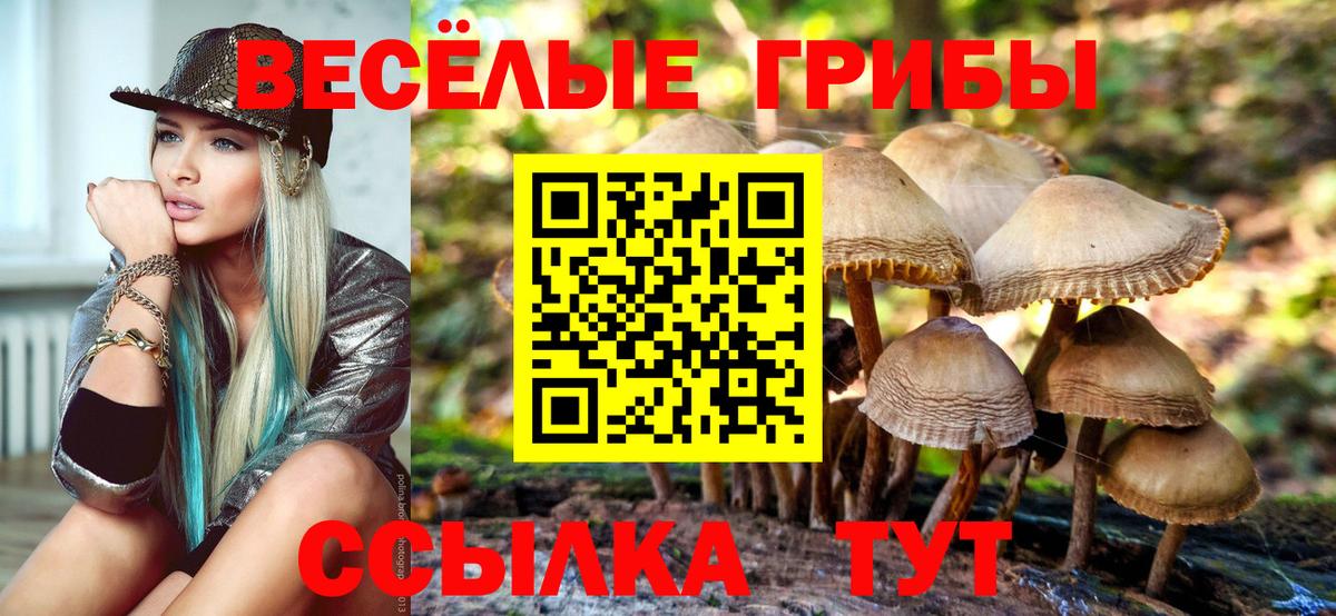 Дальнегорск  Псилоцибиновые грибы мухоморы  Вход с VPN 